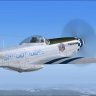 WoP P-51D_SOH