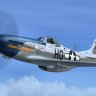 P-51D Mustang "Slender, Tender & Tall"_with_fix.zip