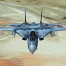 Aerososft F-14A NSAWC Alternate Tail and More