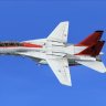 Aerososft F-14 VF-101 Grim Reapers