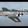 P-51D Mustang "Hurry Home Honey".zip