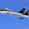 Aerososft F-14 VF-31 2005