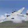 AS_Hornet_Team_SOH