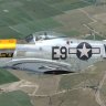 Warbirdsim P-51D 6x 361st FG