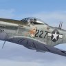 Warbirdsim P-51D 3x IwoJima