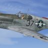 Warbirdsim P-51B 332nd FG #37 "Stinky"