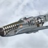 Warbirdsim P-51D-5 20th FG MC-T "Sneebo"