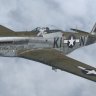 Warbirdsim P-51D-5 20th FG KI-N "Flying Dutchman"