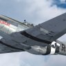 Warbirdsim P-51D 2x 479th FG