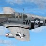 Warbirdsim P-51B 339th FG 6N-P "Constance"