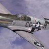 Warbirdsim P-51B 55th FG CG-M "Est Side Rat"