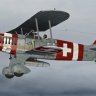 FSX Heinkel He 51 "Swiss Air Force"