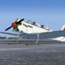 Yak-18 "Whitewash" Scheme
