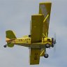 G164A_Agcat texture CS-ASN.zip