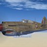 WOP_3_P-40_AM_461