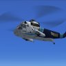 Cougar helicopters Shortsky