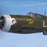 P-47D 353th FG/ 350th FS LH-Y "the Georgia Peach"