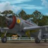 P-47D 324th FG/316th FS #77 "Betty"