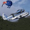 Mount Cook Goose by Helwig.zip