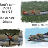AW P-38F "The Sad Sack" repaints