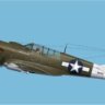 Curtiss P-40N-5-CU Warhawk 42-105915 Little Jeanne