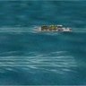 KM Siebel Ferry