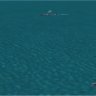 CFS2_HMS_Achilles_Cl