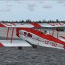 De Havilland D.H.83 Fox Moth CF-DIZ by PW FS9