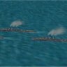 RN Arethusa Cl WWI for CFS2