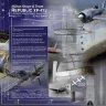Republic XP-47J_paintkit