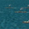 KLM Merchant Ships V1.0