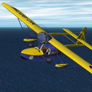 Sikorsky S 39 CAP