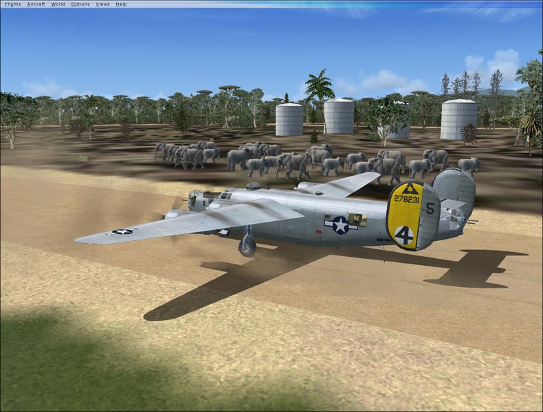 B-24 taxiing past elephant herd.
